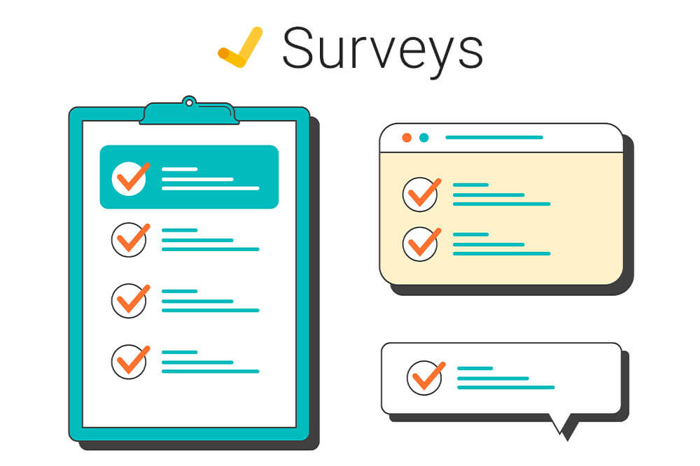 SURVEY definición y significado